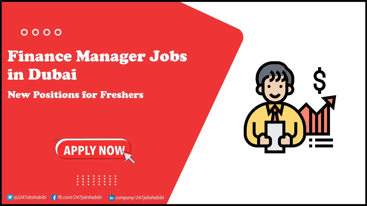 Finance Manager Jobs in Dubai