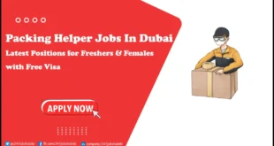 Packing Helper Jobs in Dubai