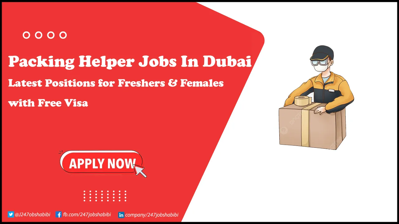 Packing Helper Jobs in Dubai